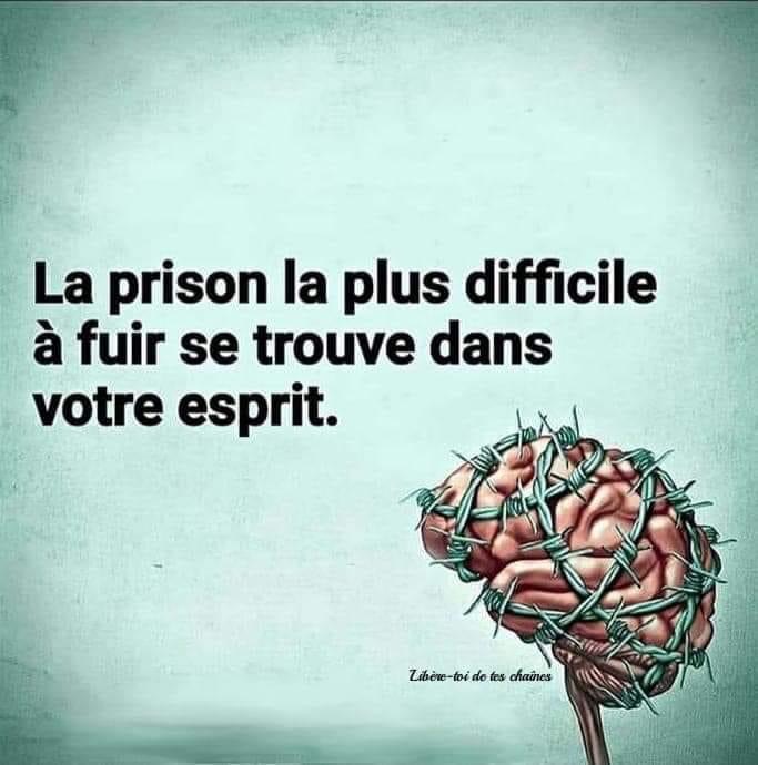 🧠 Résister à l’ingénierie sociale : penser librement, c’est refuser d’être manipulé