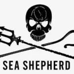 2seasheperd